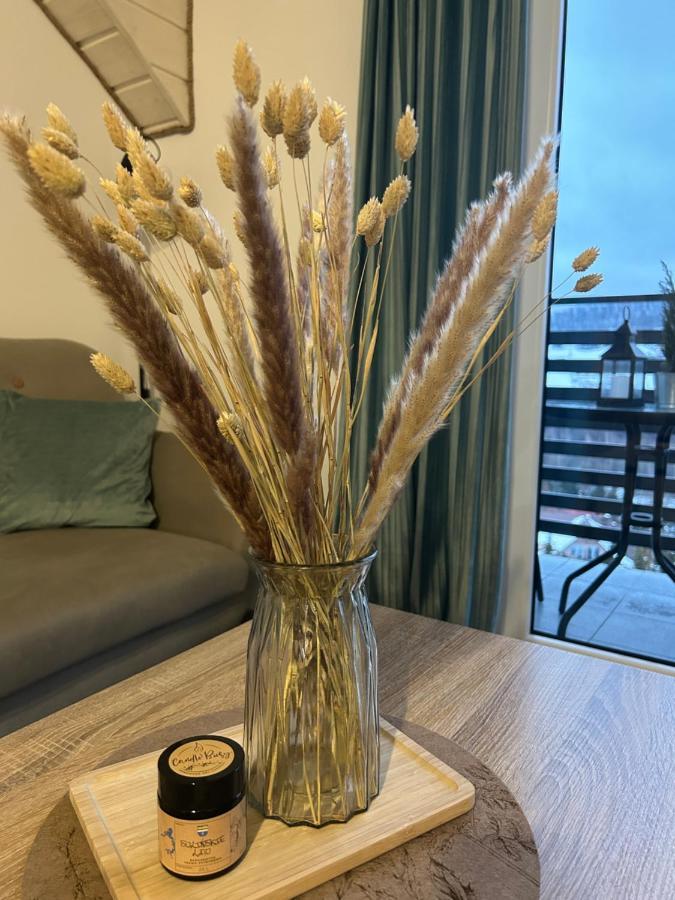 Amaretto Apartamenty Solina - Balia Z Jacuzzi I Sauna סולינה מראה חיצוני תמונה